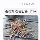 상사리(상) 이미지