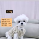 다온멍스쿨 이미지