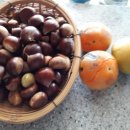 시골살이 집으로 이미지