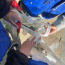 온천천일대11 | 볼보 뉴홈 빌더즈 6조 | 부산 온천천을 맑게! 🌿 3인방의 열정 가득 플로깅 봉사 후기 🏃‍♂️✨