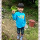 민준농장 이미지