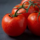 수열농장 이미지