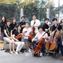 뽀꼬뽀꼬 이미지