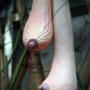 일반상식 퀴즈 이미지