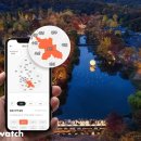 주정차단속-21 이미지