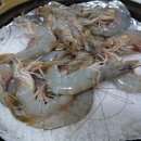 서산낙지 이미지