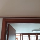 수영-304 이미지