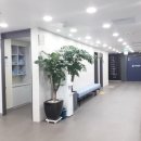 연세산돌병원 이미지