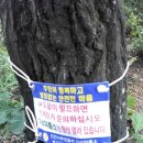 가석파출소 이미지