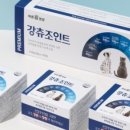 펫조아강아지조아