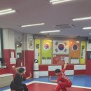 영재태권도체육관 이미지