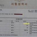 국내산 시멘트의 독성 이미지