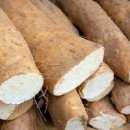 마 효능 부작용 마가루 마즙 효능 참마 칼로리 이미지