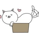 살롱드유