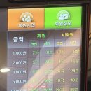 골든싱어코인 이미지