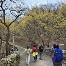 지리산둘레길 22코스(주천-밤재) 이미지