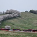 소나무 한우 목장 이미지