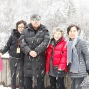 나자바바라 이미지