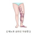 헤노호 쉰라인 자반증 이미지