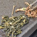 울릉드림 | (Ctrl+F) 맛있는 삼겹살 찾기🔎결과: 대성공 바래봉순금씨 남원본점