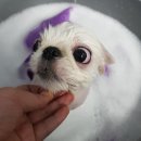 그루밍케이 이미지