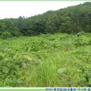 덕고개 경로당 이미지