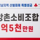 소비조합