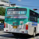 대원A장미 이미지