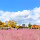 미사경정공원 이미지