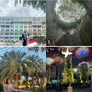 햄트리 | 싱가포르 6박7일 일정 싱가포르 여행 경비 싱가포르 슈퍼트리쇼 사테거리 후기