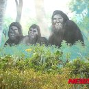 진해구 ⓒ-21 이미지