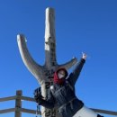 GS25 제주협재점 이미지