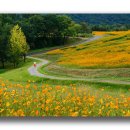 곡성-033 이미지