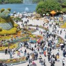 (주)제주국제여행사 이미지