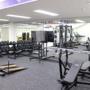 성남시장애인체육회(성남종합운동장) 이미지