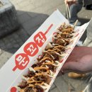 리빙클라스 | 26년 상반기 상 일상 ❤️‍🔥