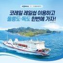 울릉크루즈투어