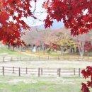 볼빨간한우 이미지