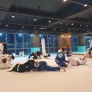 JOB주짓수클럽 네이버블로그
