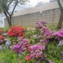 행복나무 요양원 이미지