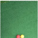 여주-0499 이미지