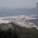 여우박골농장 Daum카페