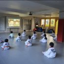 솔향태권도 이미지