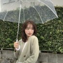 토모헤어 이미지