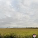 스테이 노네 이미지