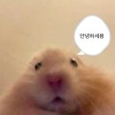 세탁일번지 | 9월 10월 그 어딘가 조잡한 일상