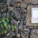 낮은제주 이미지