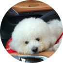 청라스카이모터스 이미지