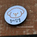 동이살롱 이미지