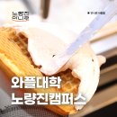 와플대학노량진캠퍼스 이미지